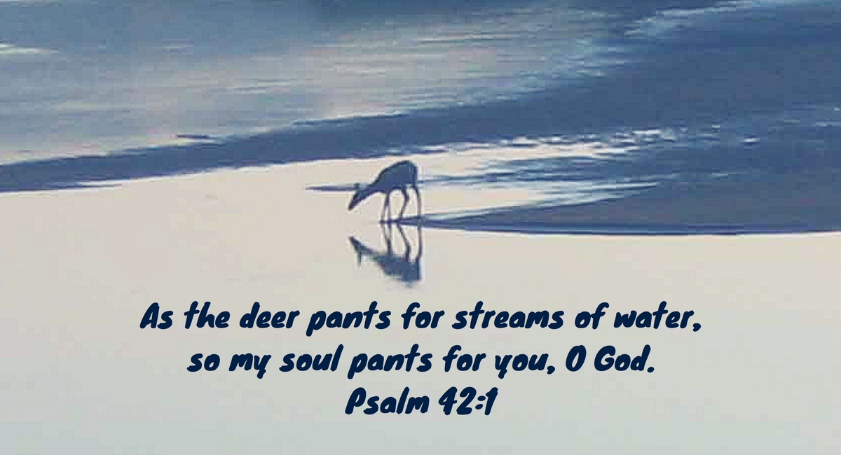 This Common Mistake Makes Deer Pants For Water Are You Guilty - 90olwmk