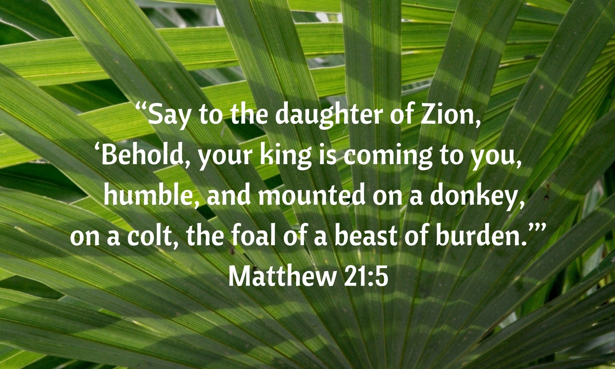 Got Questions Reading Plan Preparation